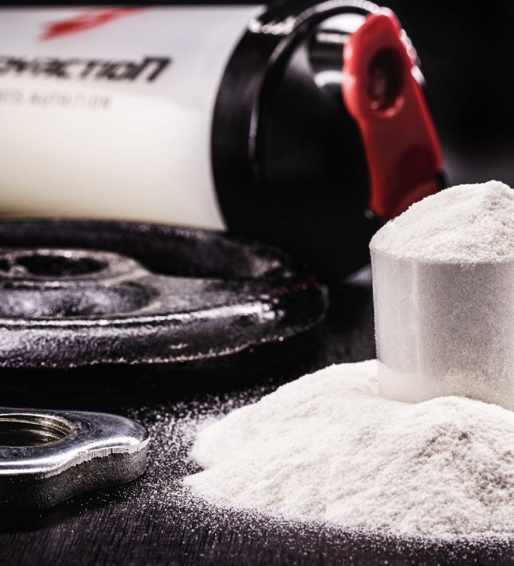 creatina o proteina