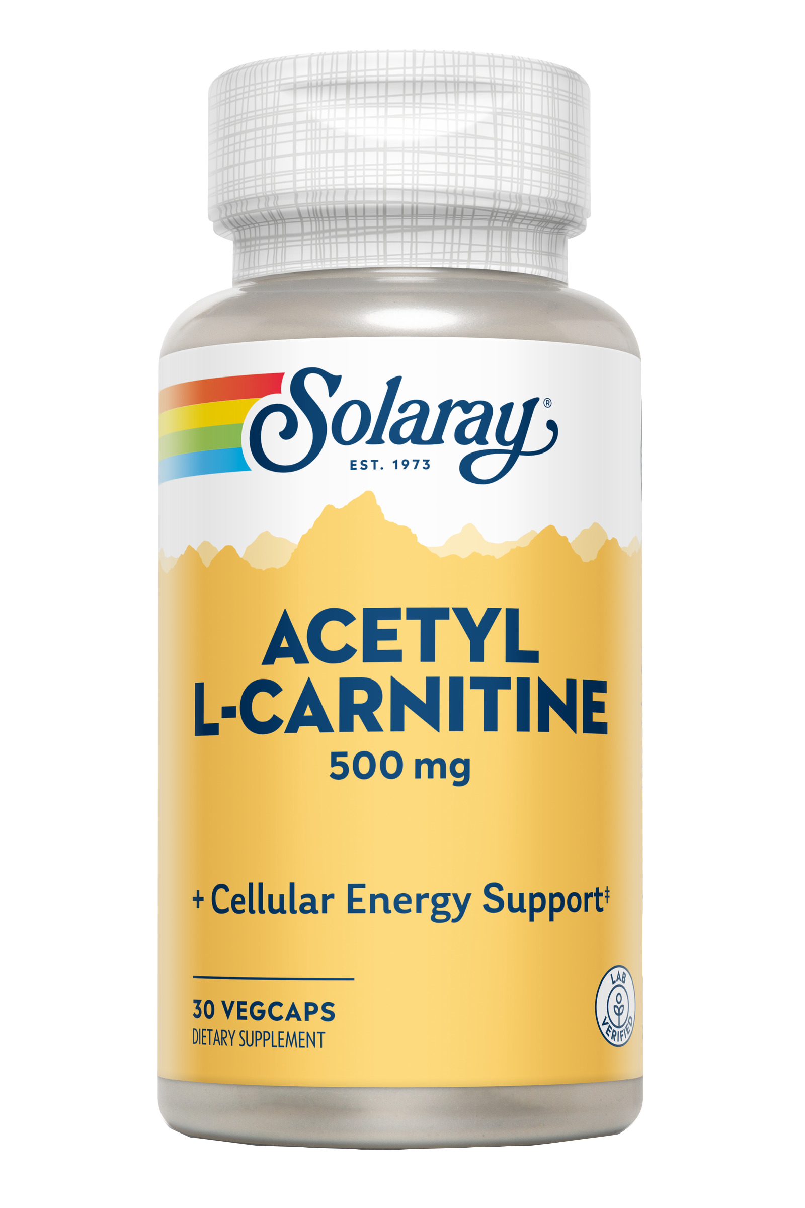 ACETYL L-CARNITINA - 30 VEGCAPS