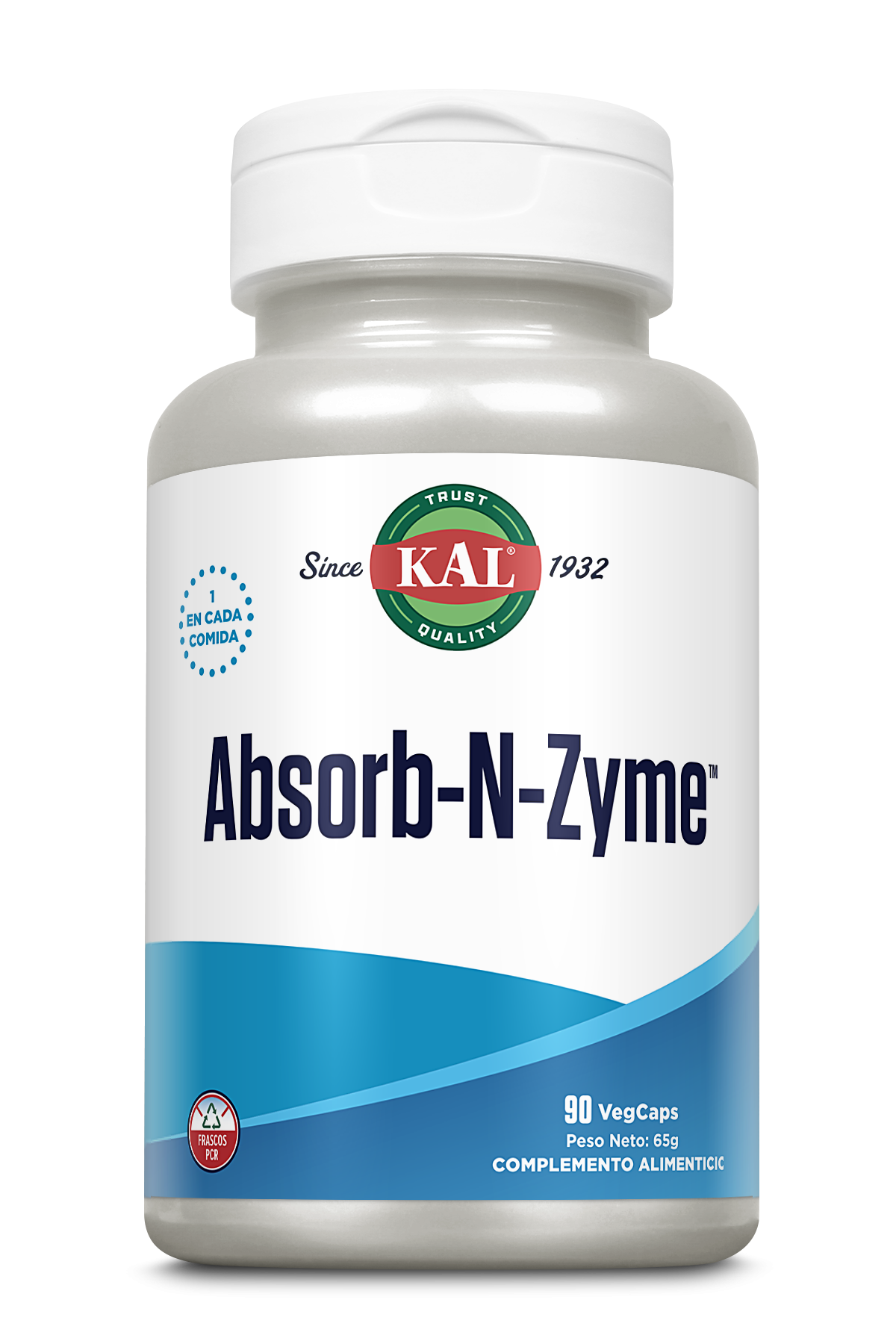 ABSORB-N-ZYME - 90 VEGCAPS