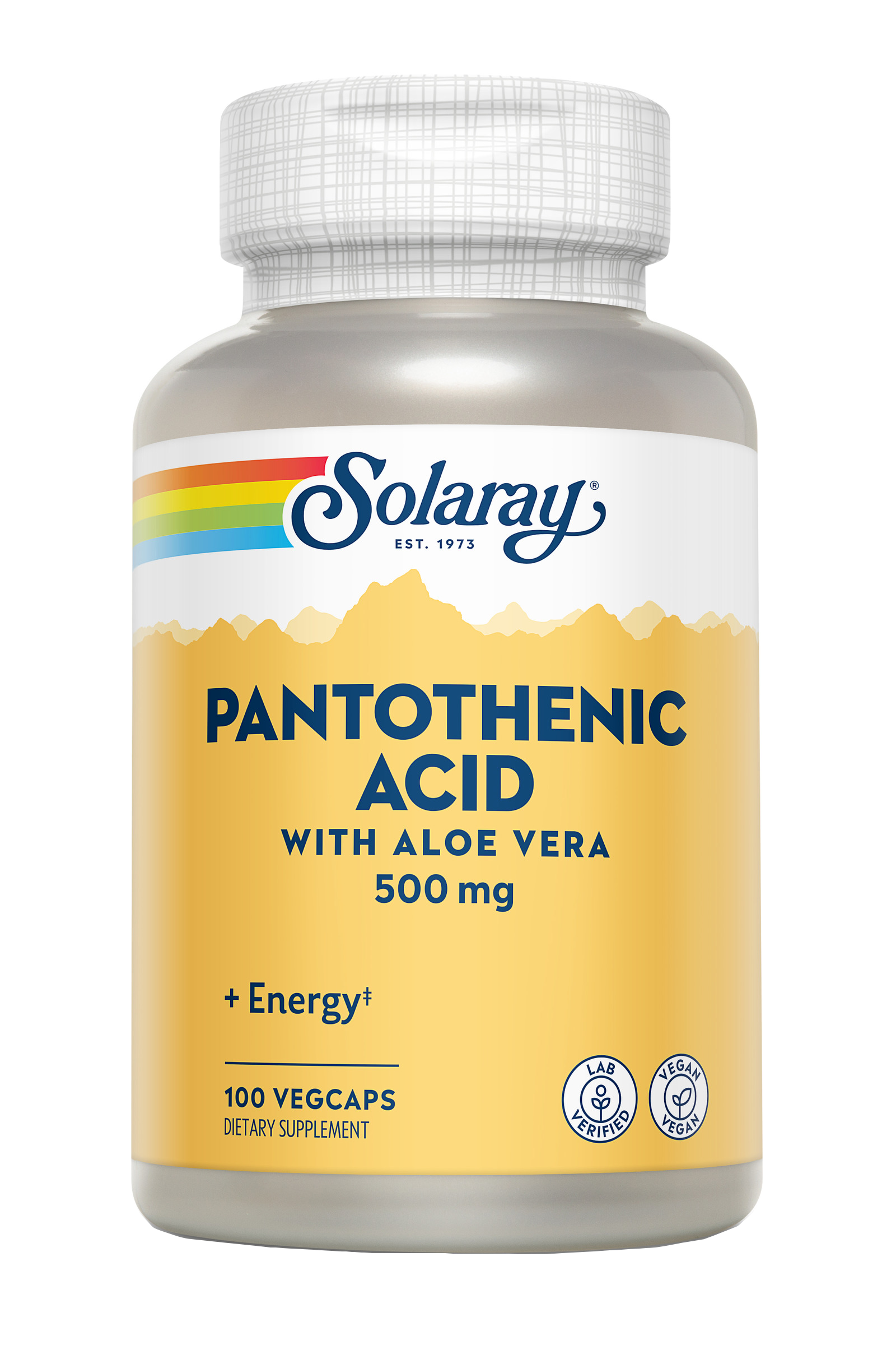 PANTOTENIC ACID - 100 CAPSULAS