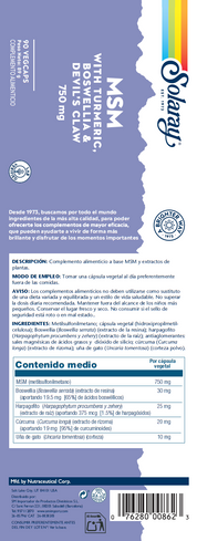 MSM, TURMERIC,BOSWELLIA & HARPAGO - 90 VEGCAPS