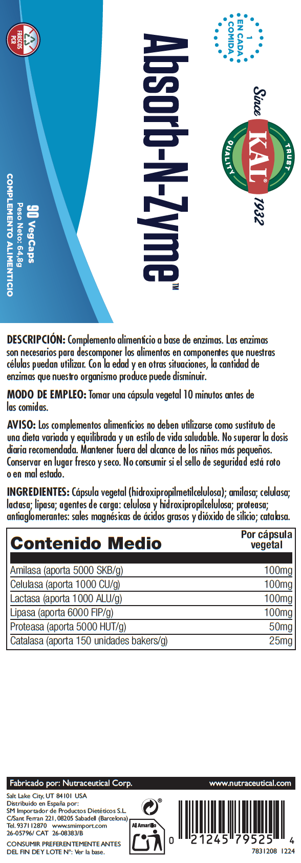 ABSORB-N-ZYME - 90 VEGCAPS
