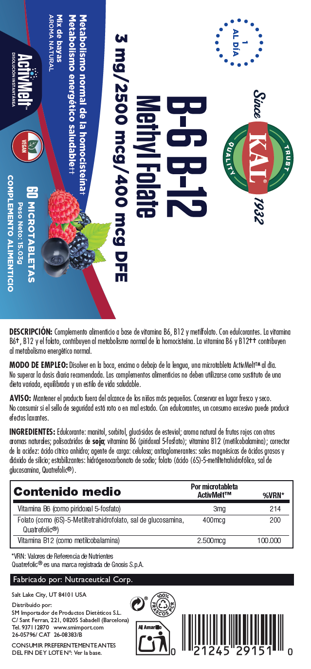 B6 & B12 METHYL FOLATE - 60 MICROTABLETAS