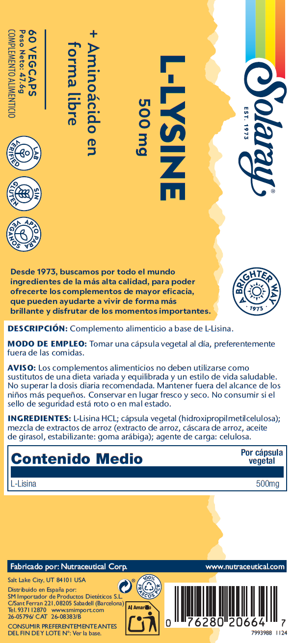L-LYSINE 500 - 60 VEGCAPS